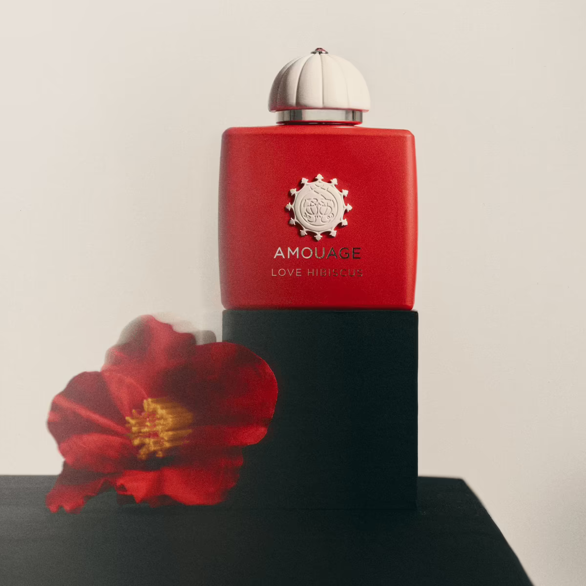 Love Hibiscus