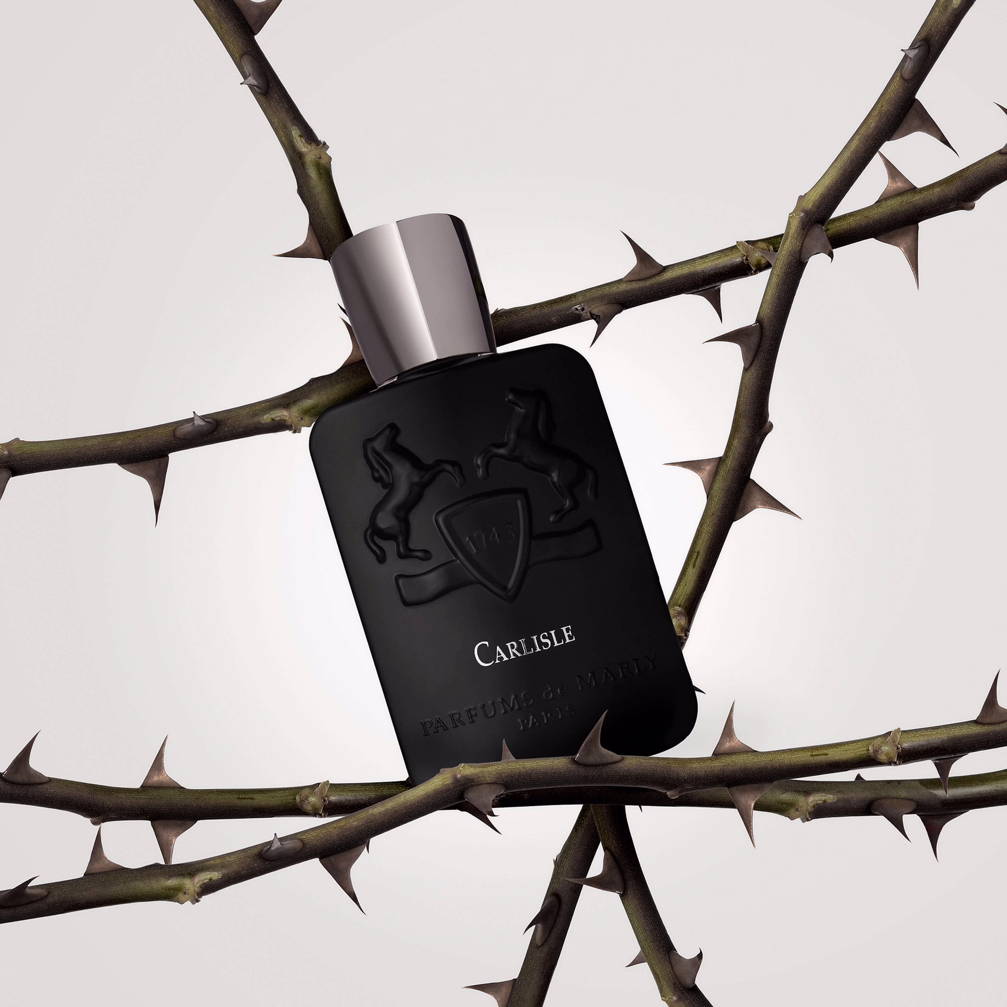 Carlisle by Parfums de Marly, the parfume created by Quentin Bisch