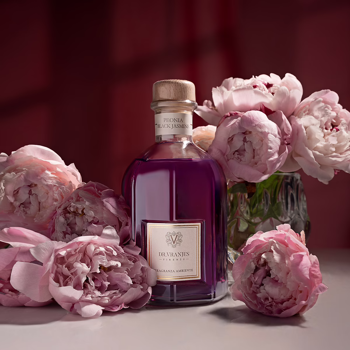 Peonia Black Jasmine
