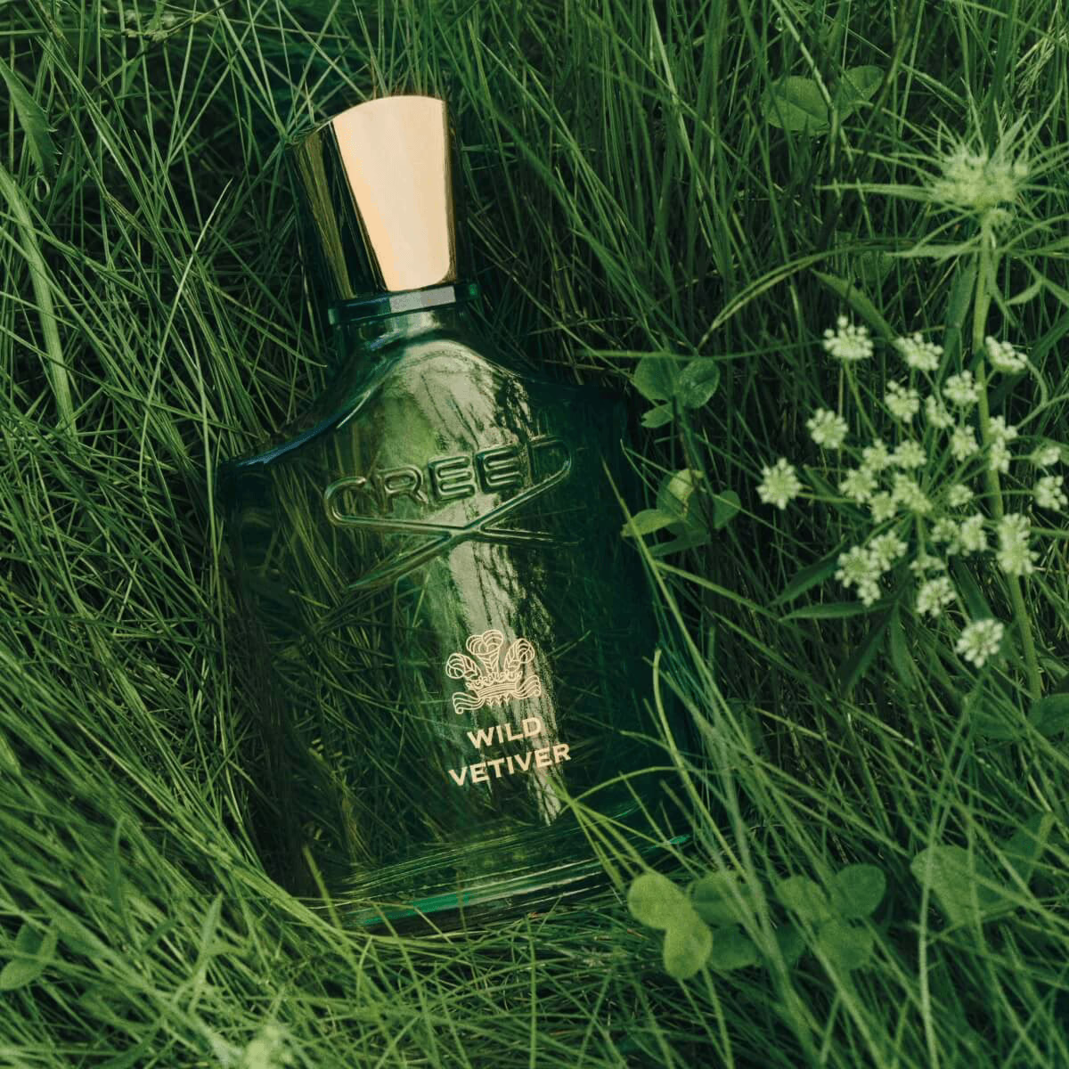 Wild Vetiver by Creed, the explorer perfume
